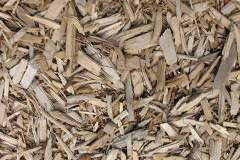 biomass boilers Nenthorn