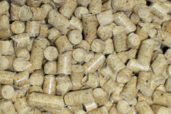 Nenthorn biomass boiler costs