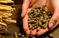 Nenthorn pellet boiler